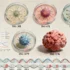 Six New Human Biliary Tract Cancer Cell Lines Pave Way for Research Breakthroughs - Professional coverage