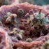 HIV’s Tissue-Specific Hiding Strategy Uncovered in Landmark Study