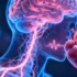 Brain’s Oxytocin Pathway Found to Regulate Heart Rate Variability Through Respiratory Control