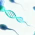 Genetic Sequencing Uncovers Potential Biomarkers for Male Infertility