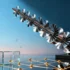 Parcel Shipping Costs Projected to Hit Historic Highs in 2025 Amid Carrier Pricing Shifts
