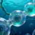 Ocean Microbe Rivalries Unlock Secrets to Predicting Climate - The Hidden World Beneath the Waves In the deep blue expanse of