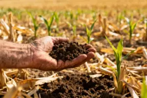 AI Isn't Killing Entry-Level Jobs - The Fed Is - Professional coverage