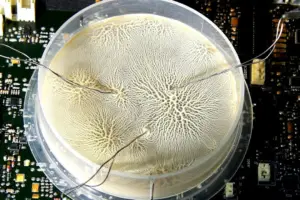 The $5 Trillion AI Bill Is Coming Due - Professional coverage